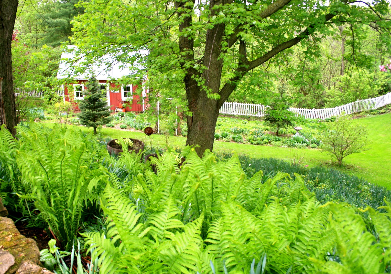 Amy's Creative Pursuits: Flowering Trees