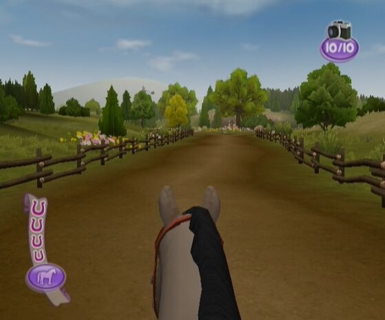 Pony Friends 2 PC, Wii, NDS spieletipps