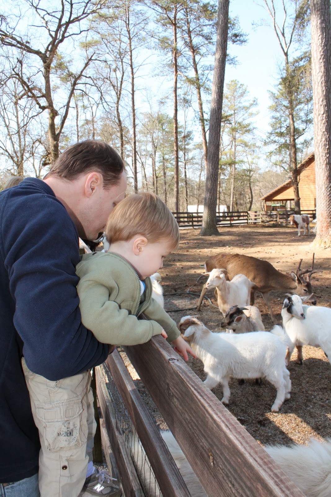 Greetings from Guatemala Noccalula Falls Park