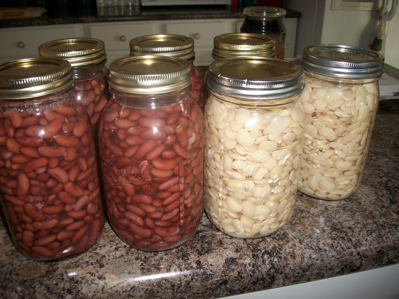 Penny Pincher's Pantry Pressure Canning Dried Beans, Baked Beans
