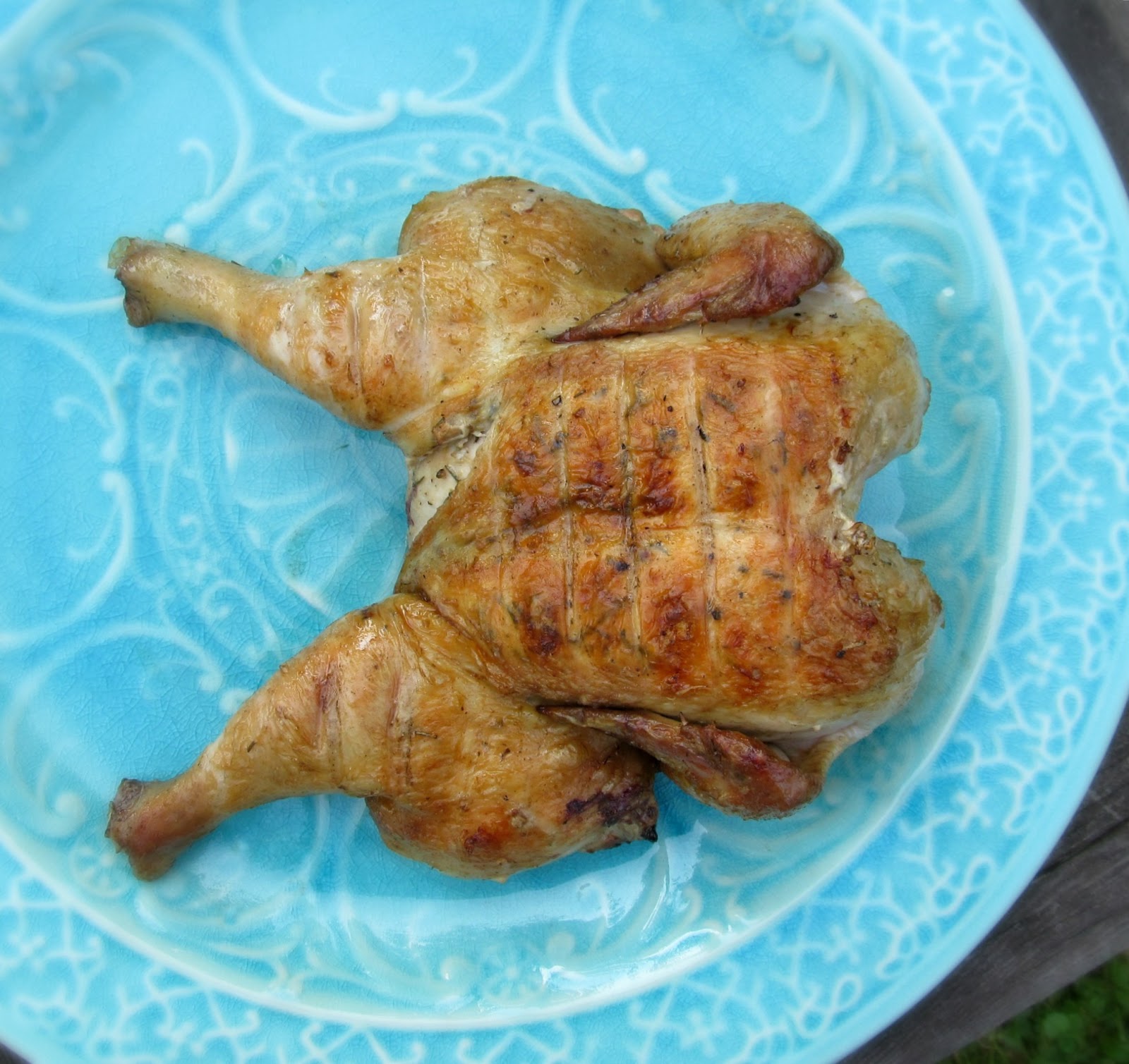 Rise and Shine Butterflied Chicken Over an Open Fire (or grill)