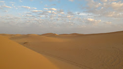 Padang pasir oh padang pasir.