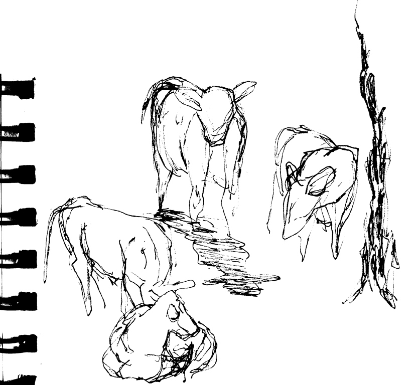 Modified Contour Line Drawing : Fruit root leaf drawing with your eyes