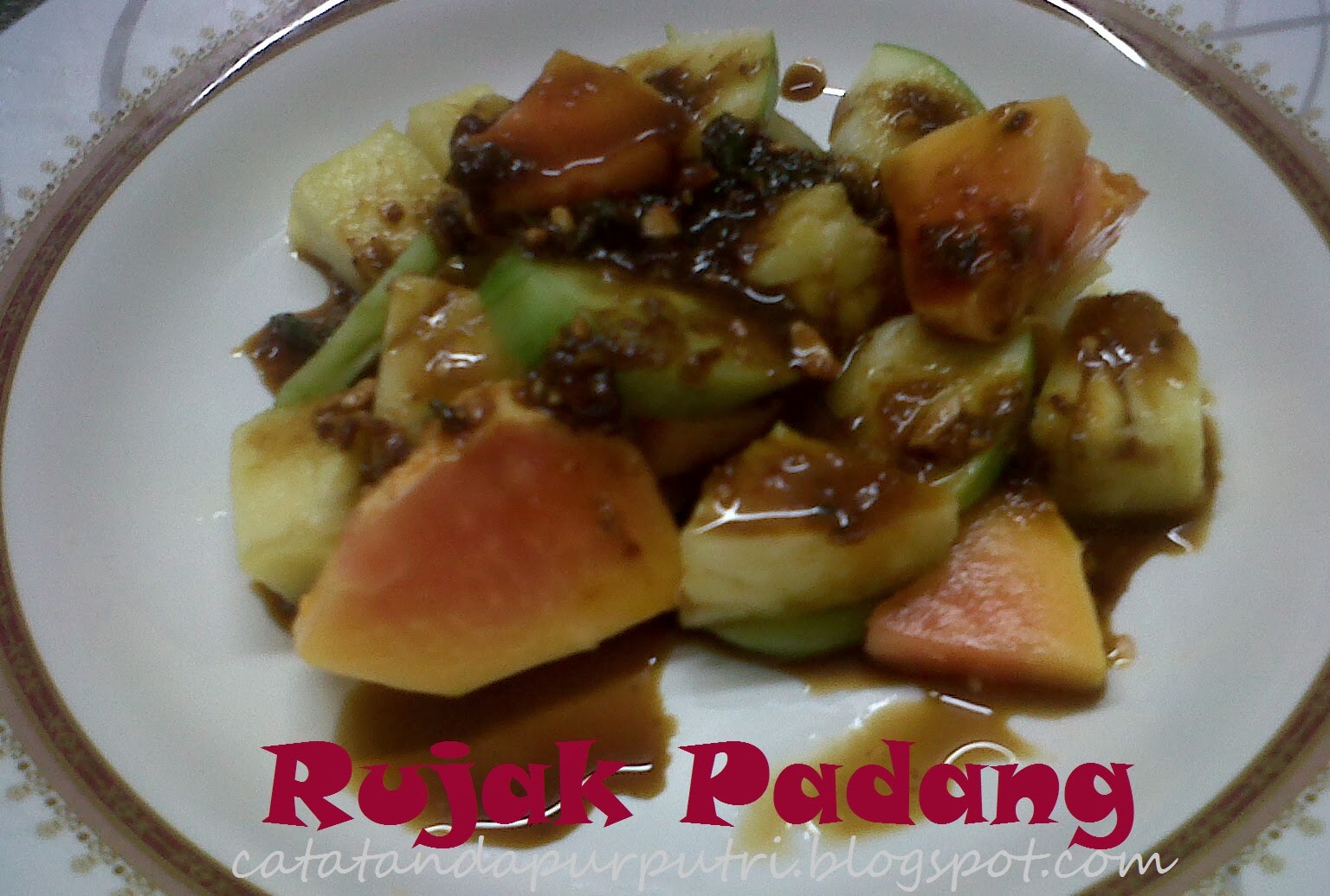 Catatan Dapur Putri Rujak Padang