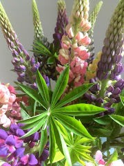 Lupines