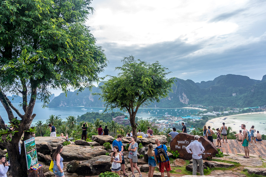 Wild Monkeys and View Point