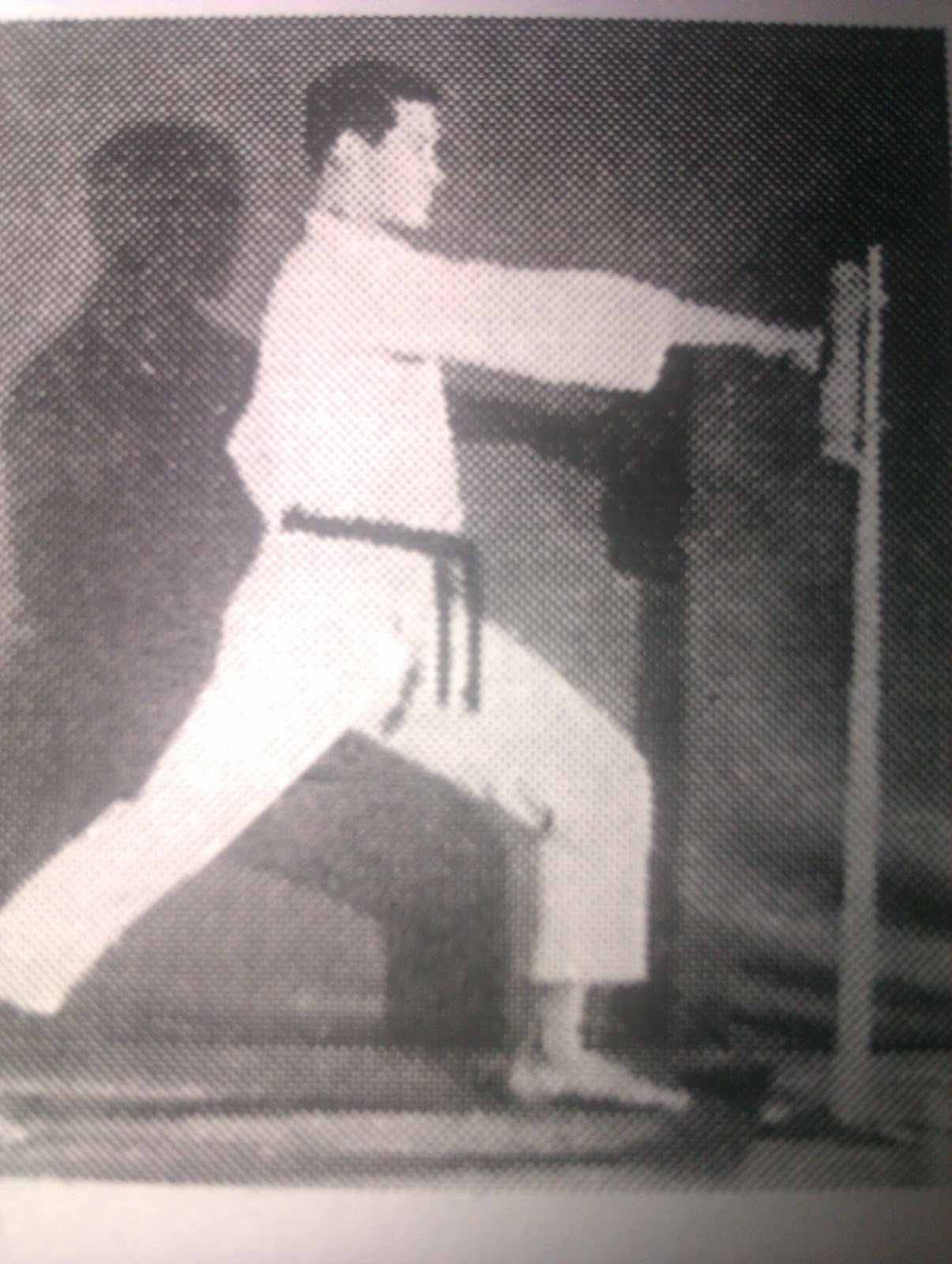 Traditional Taekwondo Ramblings What is the point of Basic Forms