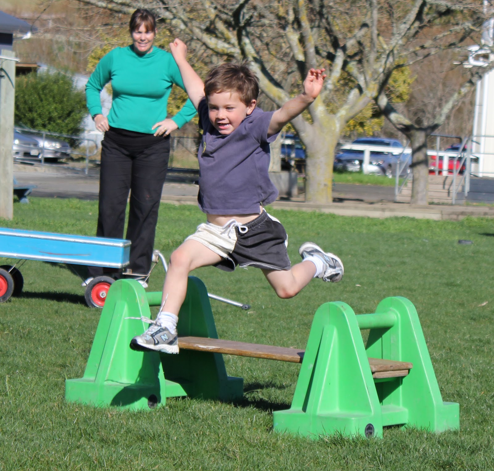 Image result for tiny hurdle