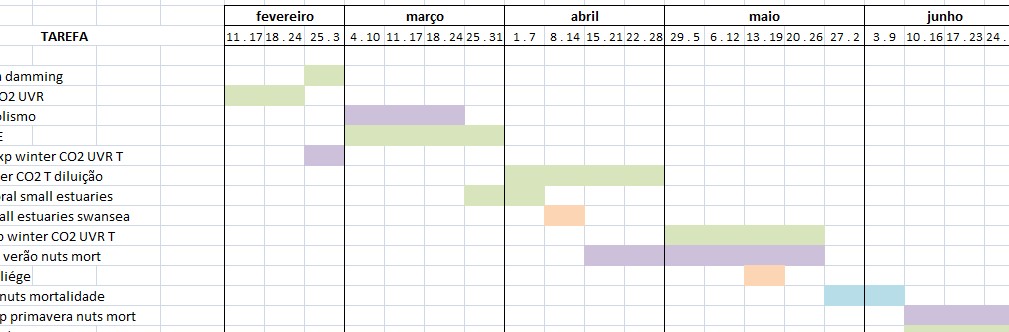 templates excel planeamento de tarefas the busy woman and the stripy cat planear o trabalho templates excel planeamento de tarefas the busy woman and the stripy cat planear o trabalho