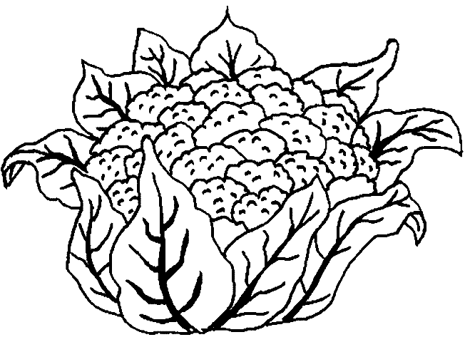 Dibujos para imprimir y colorear: Comida para colorear Dibujos para imprimir y colorear: Comida para colorear
