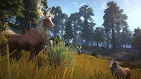 Black Desert Online превью игры