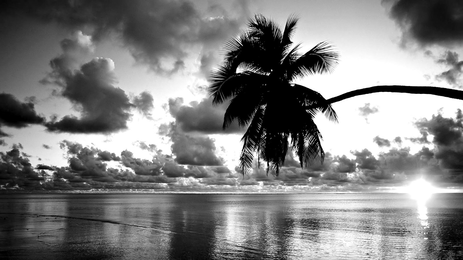 35+ Fantastic Black and White Wallpaper Black And White HD