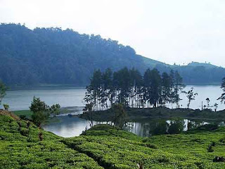 Keindahan Objek Wisata Situ Patengan