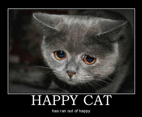 happy_cat_is_now_sad_demotivational_poster.jpg