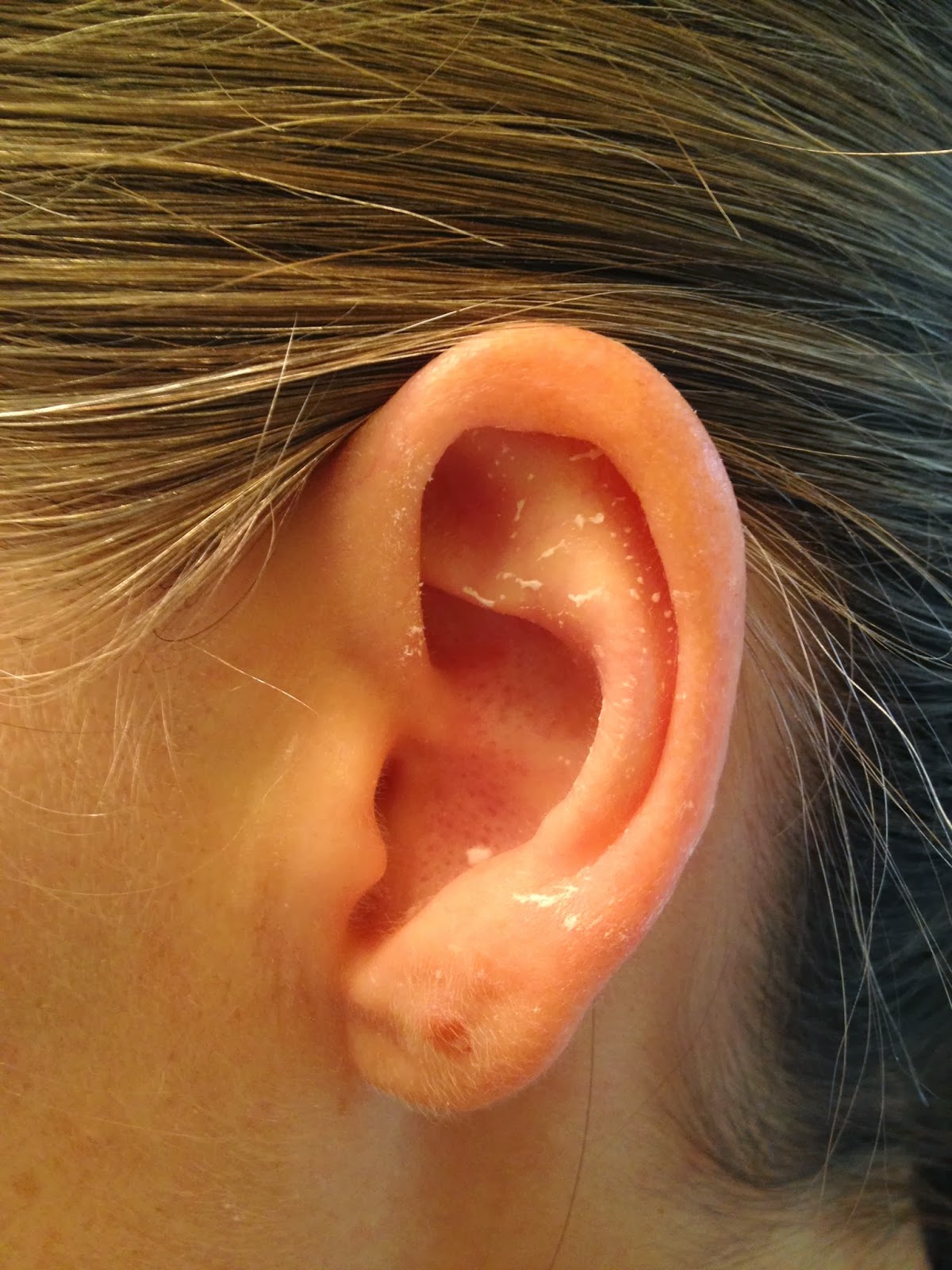 The DIY Guinea Pig DIY Dry Shampoo