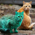 هل شاهدت القط الأخضر من قبل ؟