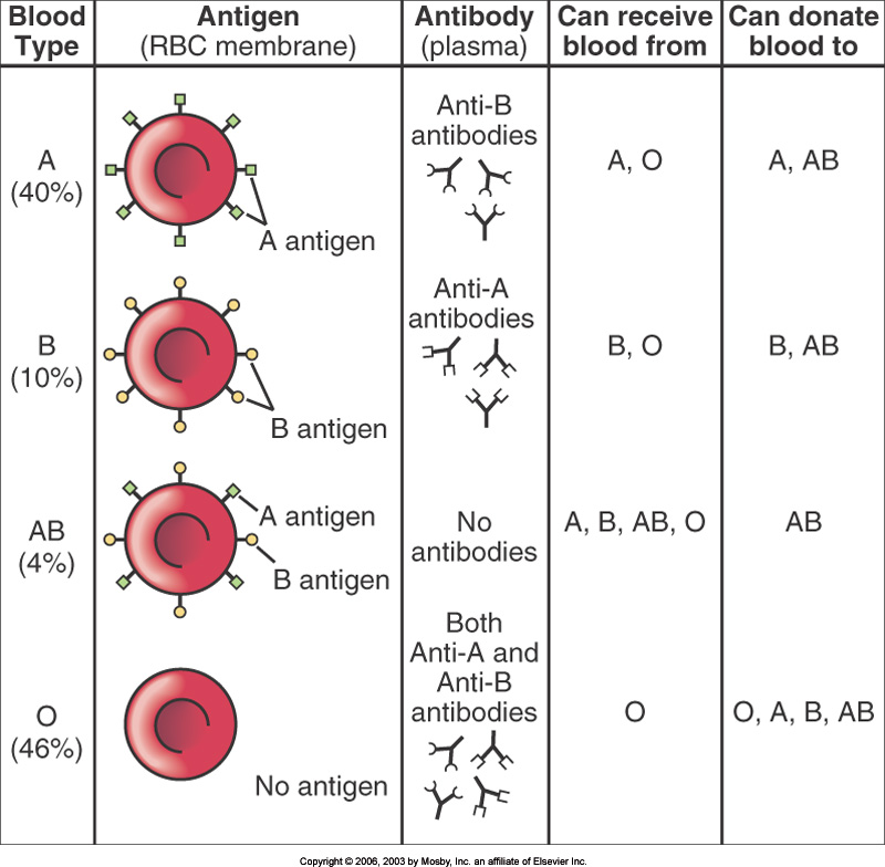 Abo Blood Transfusion Chart
