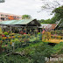Bukit Tinggi Nursery