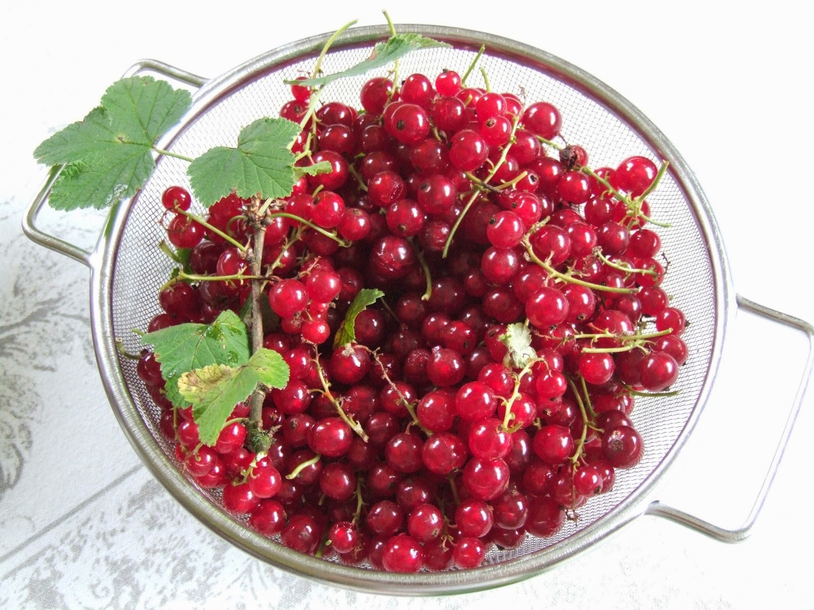 COOKING JULIA FLAN AUX GROSEILLES ET CASSIS