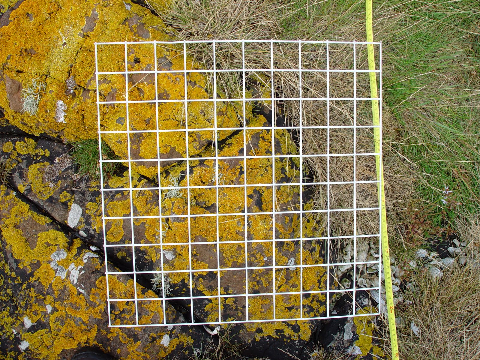 146 Assessing species diversity Biology Notes for A level