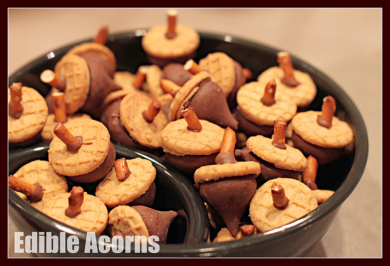 WIP Blog Edible Acorns