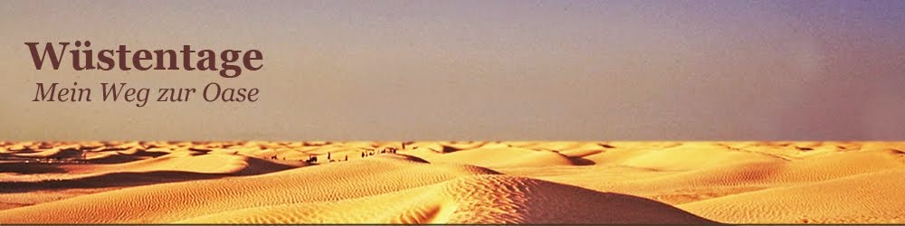 Wüstentage - Mein Weg zur Oase