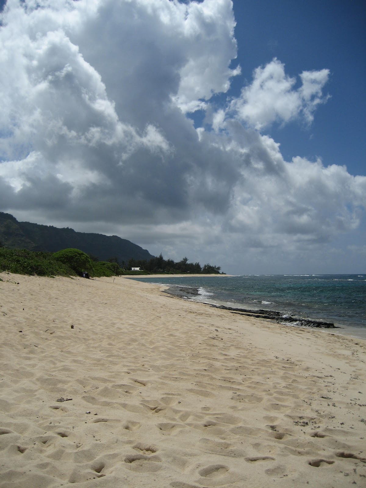 ♥ On A Secluded Beach In Hawaii