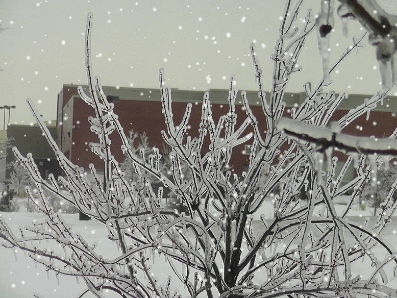 Life and Entertainment ICE RAIN ALSO KNOWN AS FREEZING RAIN