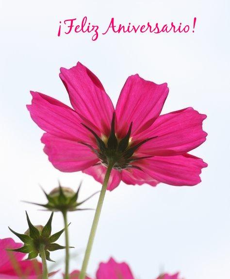 Resultado de imagen de feliz 2 aniversario