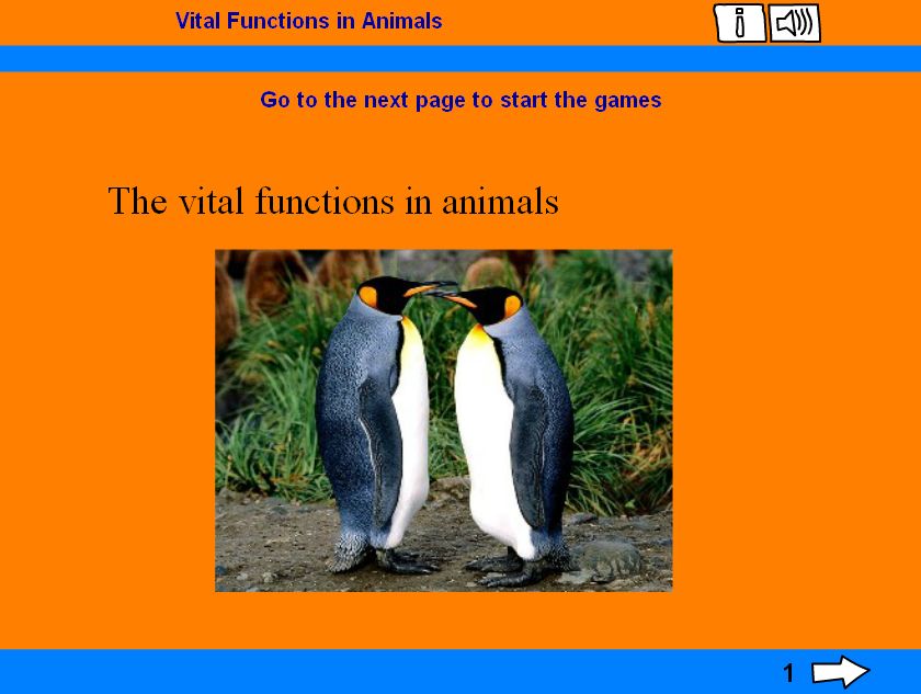 vital functions of the human body