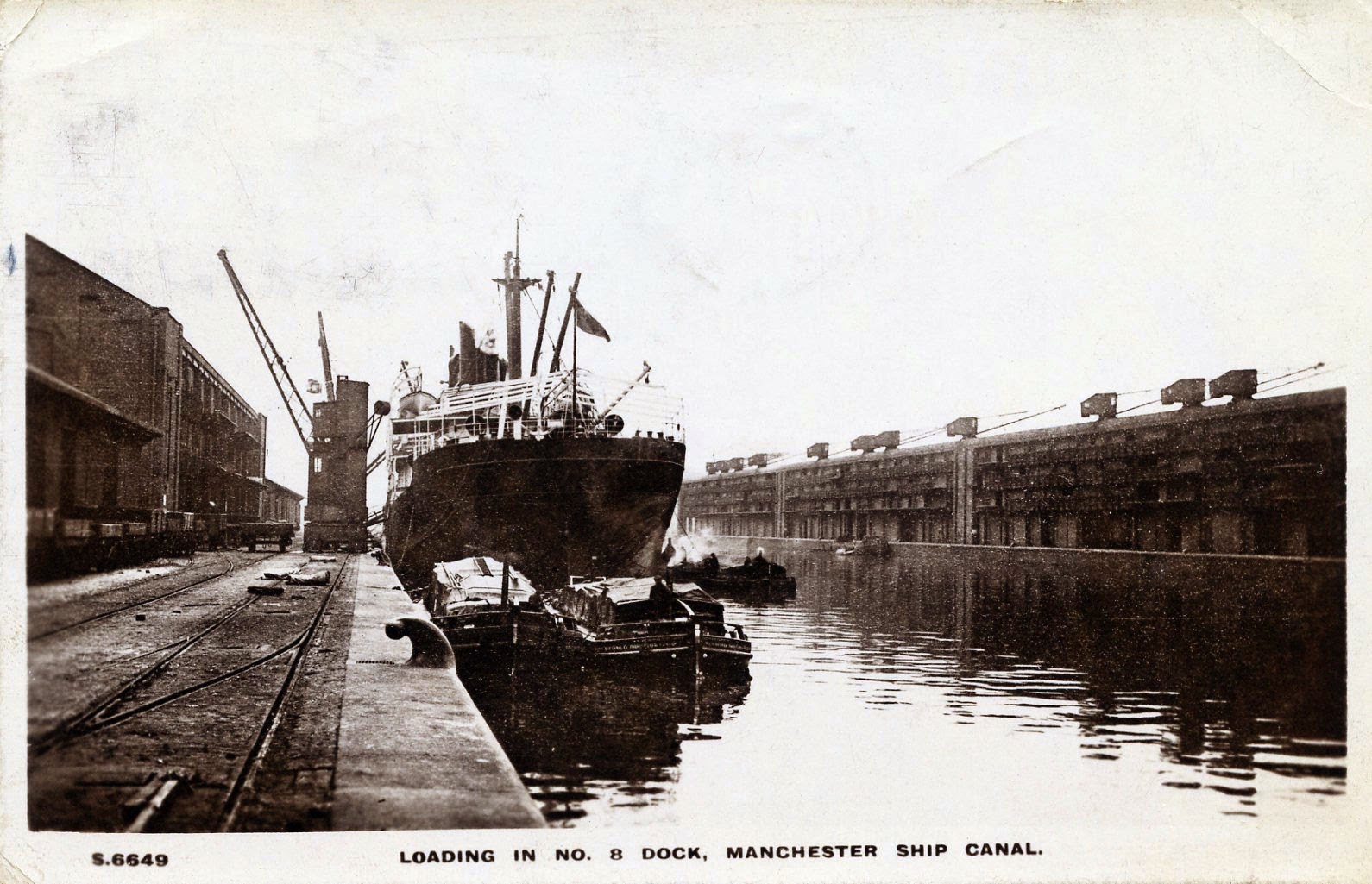 Brain Neurology Charts And Diagrams Wow Profit Packs