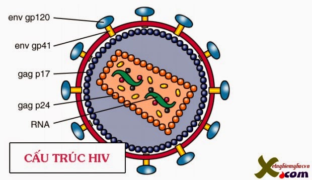 [Image: HIV2.jpg]
