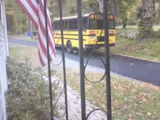 Yellow Bus