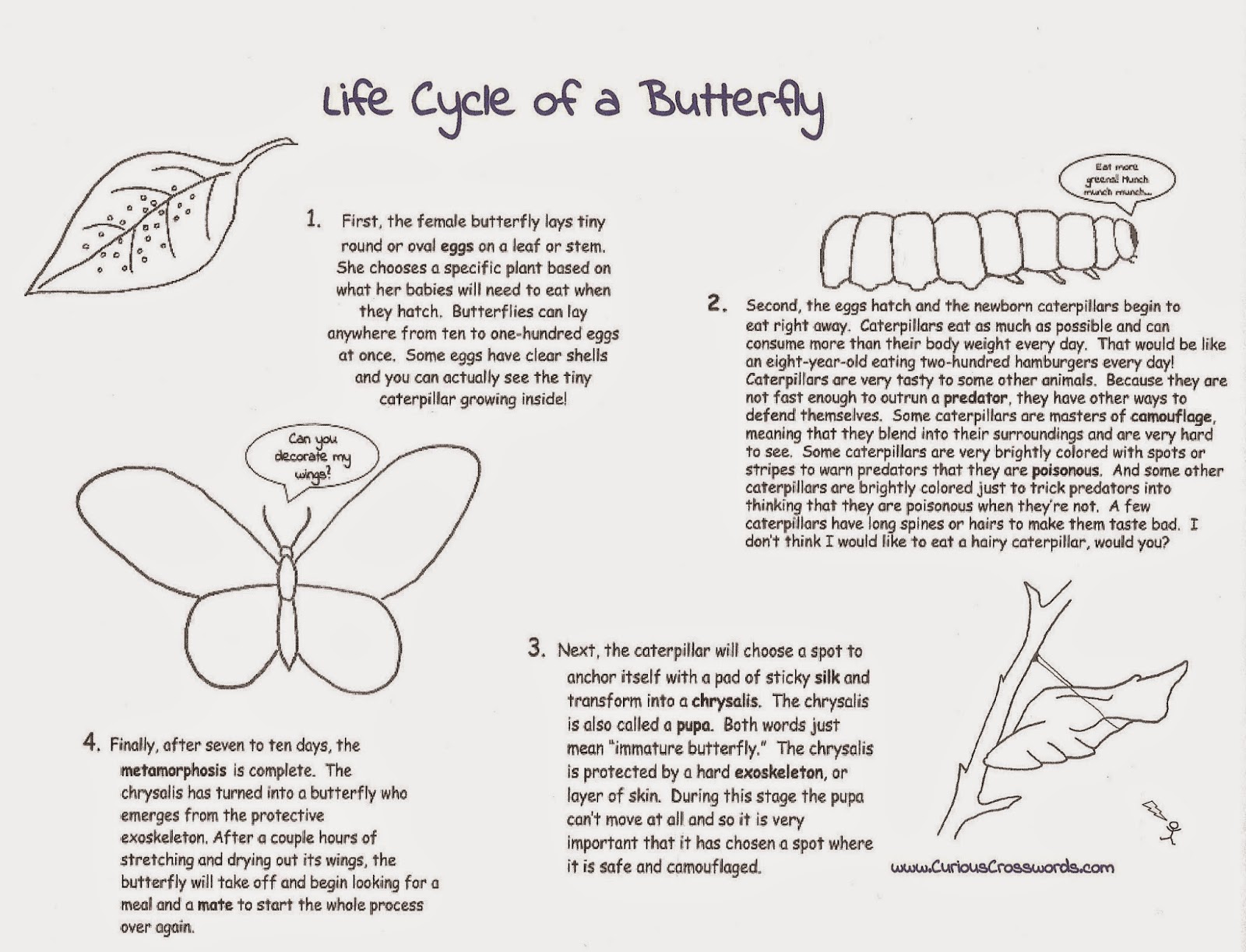 Curious Crosswords Butterfly Printable with Crossword