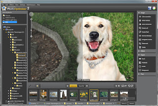 ashampoo photo optimizer 5 ashampoo photo optimizer 5