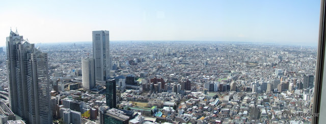 View from Tokyo Government Metropolitan Building