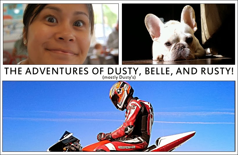 The Adventures of Dusty, Belle and Rusty!