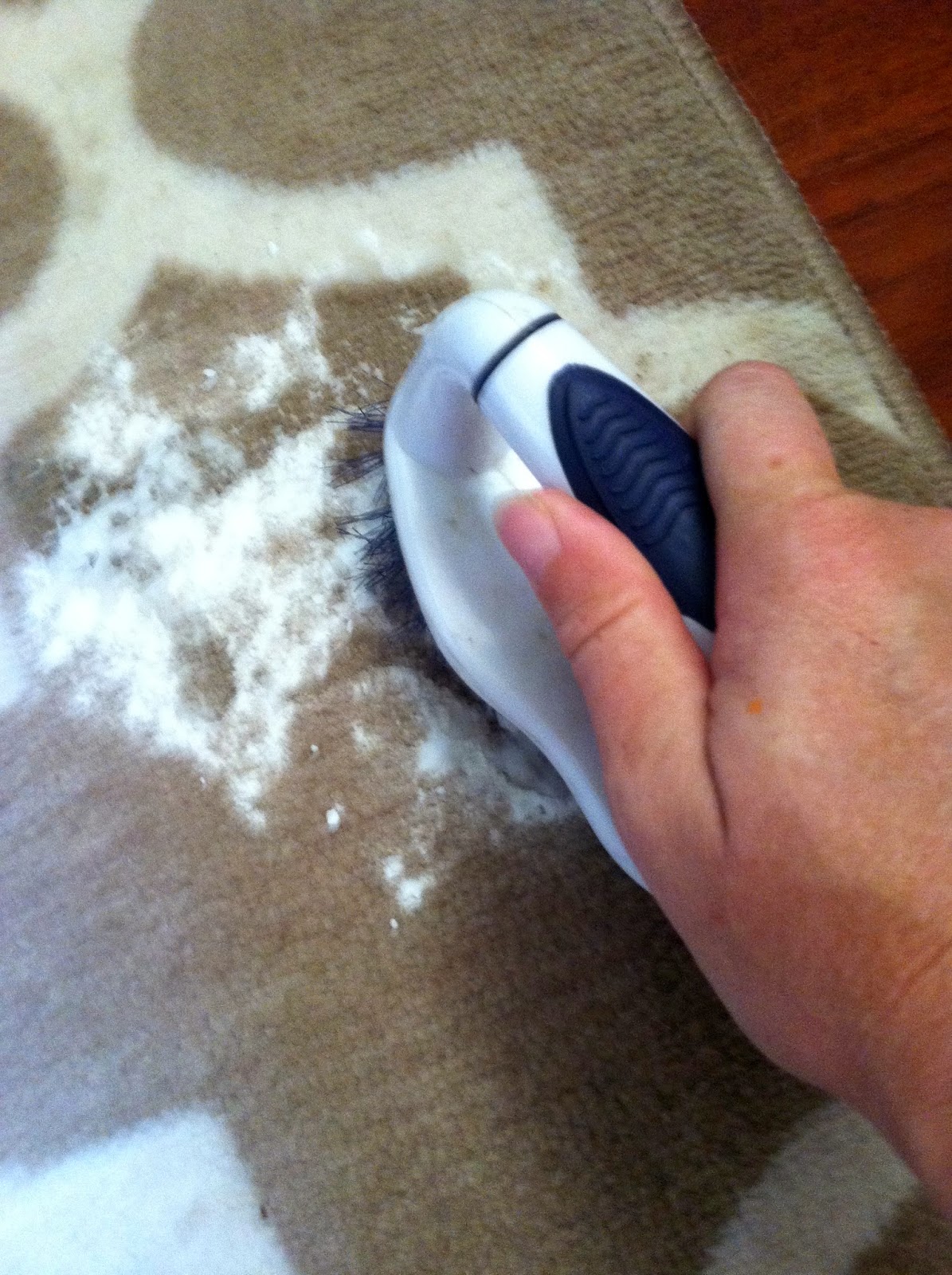 Musings and Ramblings of a Busy Mom All Natural Carpet Stain Remover