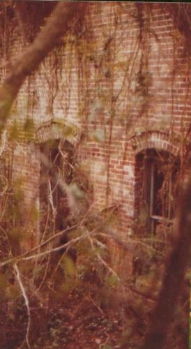 Hidden Cottage in South Carolina