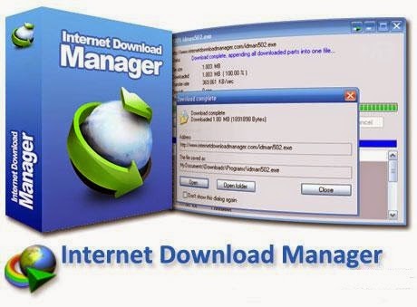  Internet Download Manager        Final 6.21 build 10   . iDM.jpg