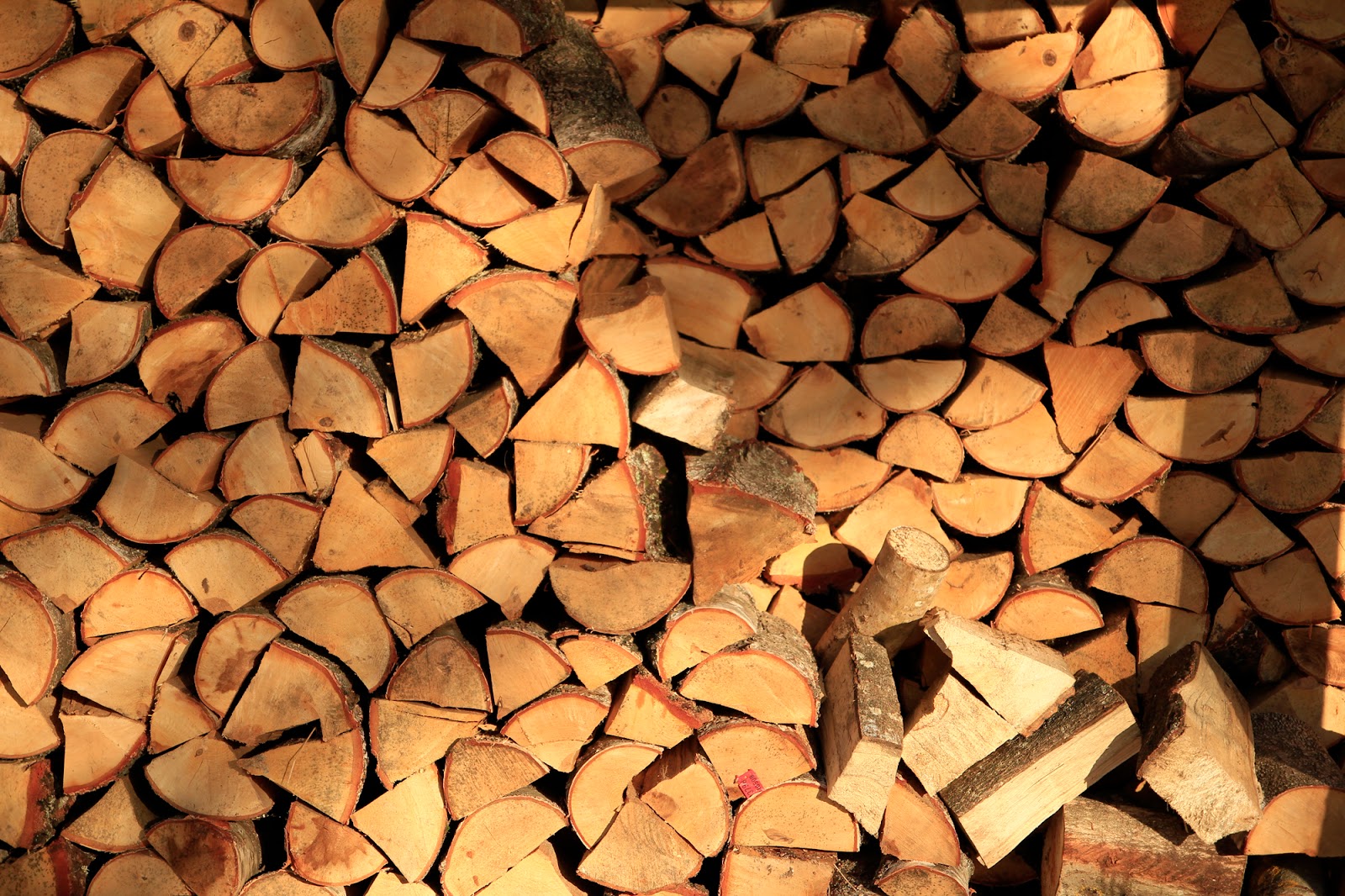 Gwiazdka w Puszczy - Ania w Podróży