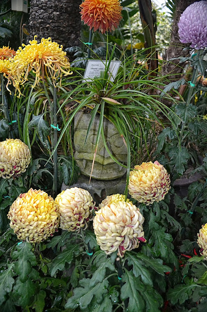 417 Oldsw Crswl 2013