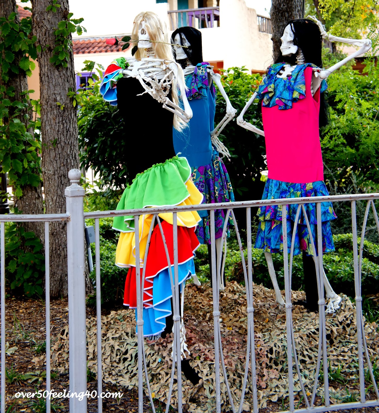 A San Antonio Halloween Over 50 Feeling 40