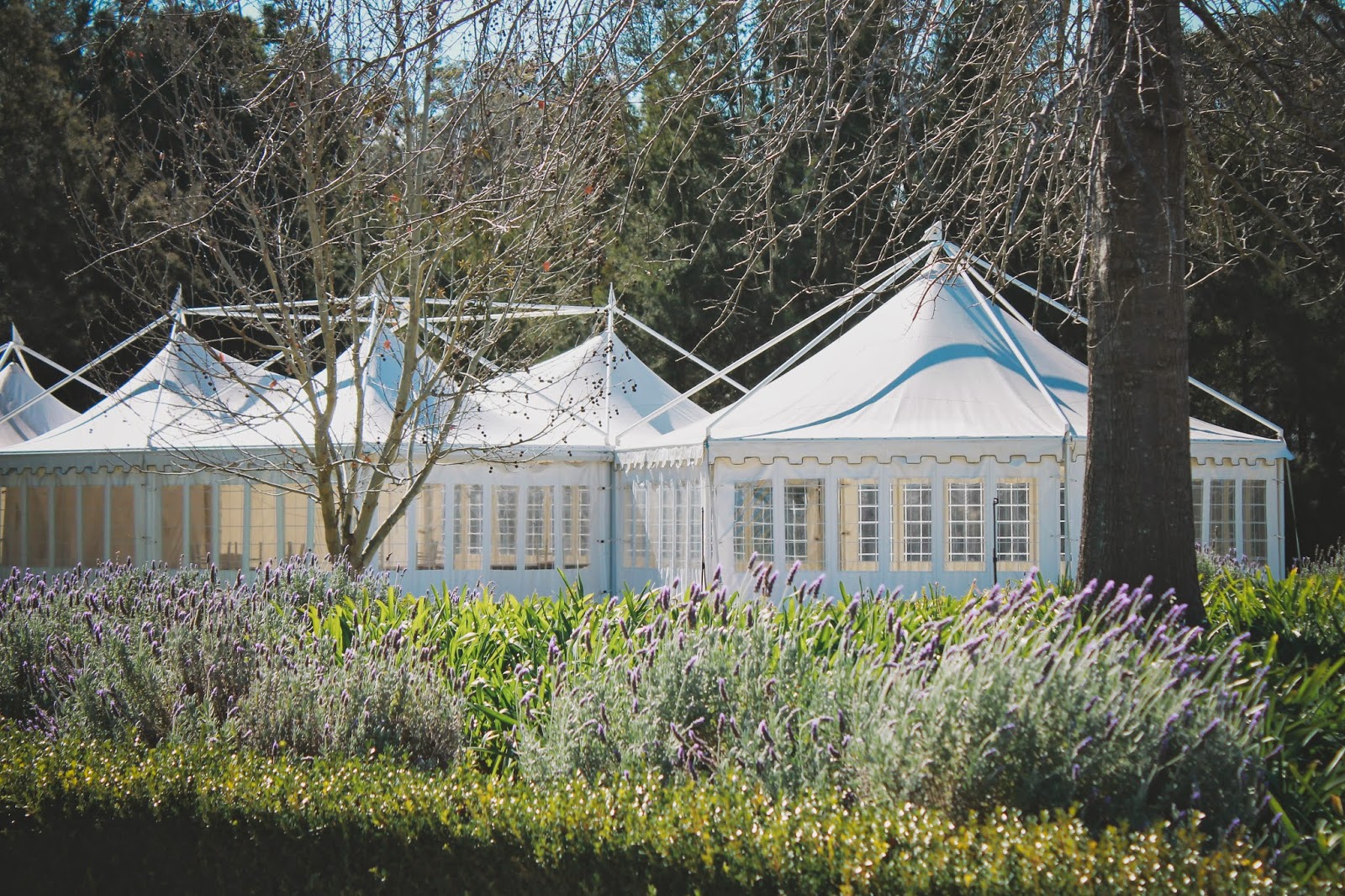 eat read love... STAY // Peppers Convent, Hunter Valley