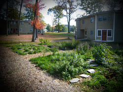 Greenwich Forest Garden