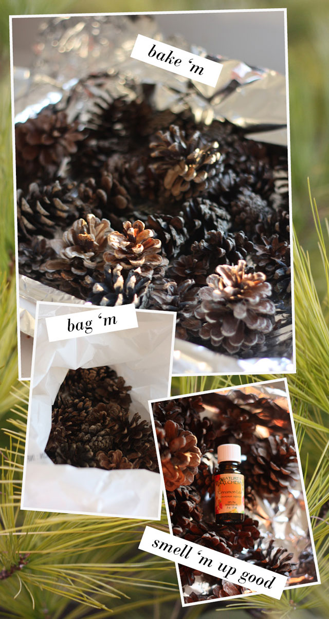 Scented Pinecones 101 - Aunt Peaches