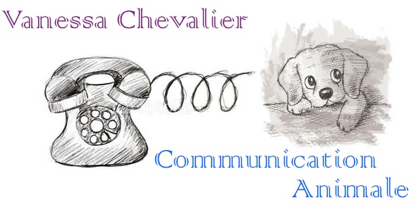 Vanessa Chevalier - Communication Animale