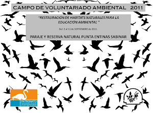 CAMPO VOLUNTARIADO 2011