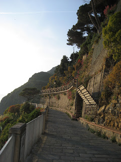 Blue Trail to Manarola - Italy