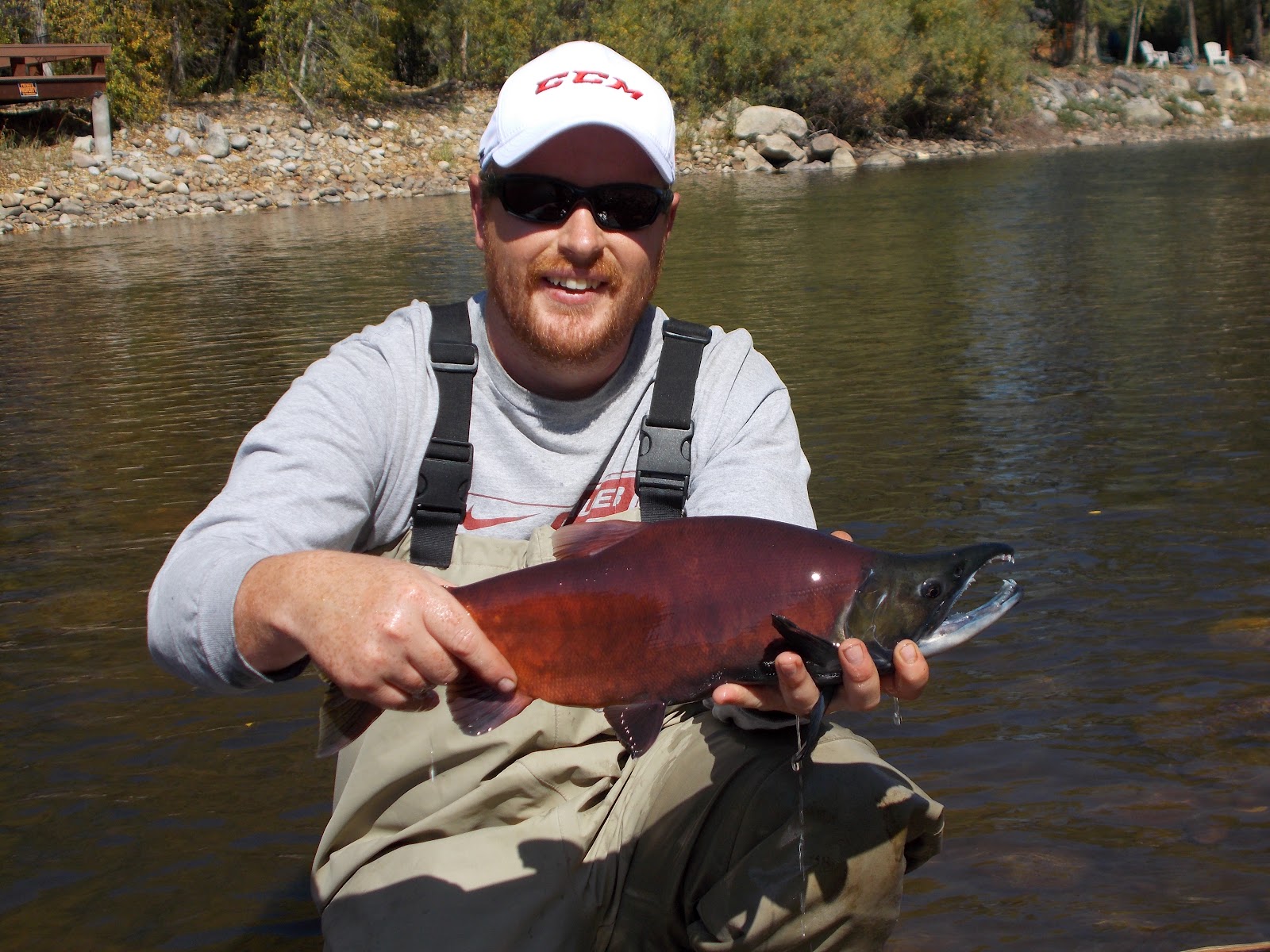 Addictive Angling Colorado Kokanee Salmon on the Move out West